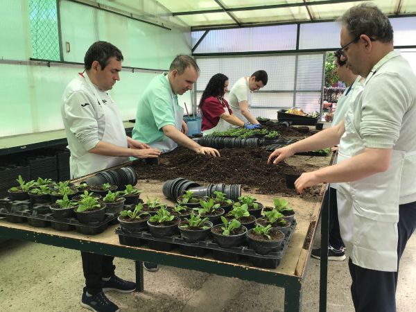 Reapertura Invernadero Nuevo Horizonte